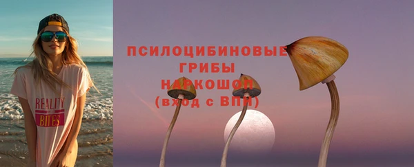 меф Инсар
