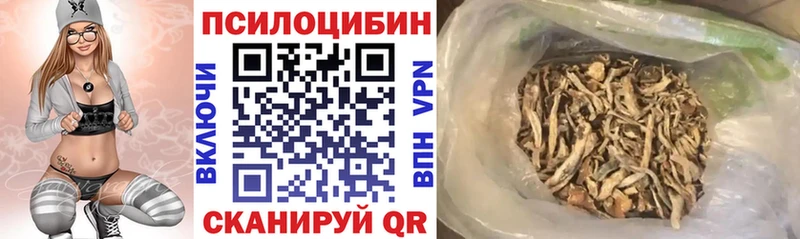 Купить закладки Высоцк Псилоцибиновые грибы MAGIC MUSHROOMS